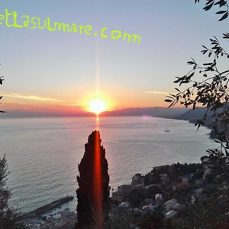 Villetta Sul Mare Camogli Zewnętrze zdjęcie