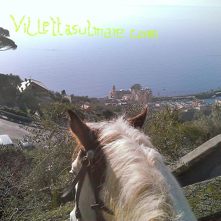 Villetta Sul Mare Camogli Zewnętrze zdjęcie