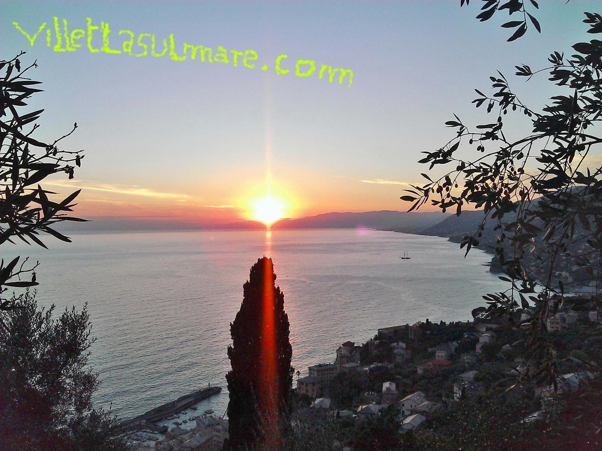 Villetta Sul Mare Camogli Zewnętrze zdjęcie