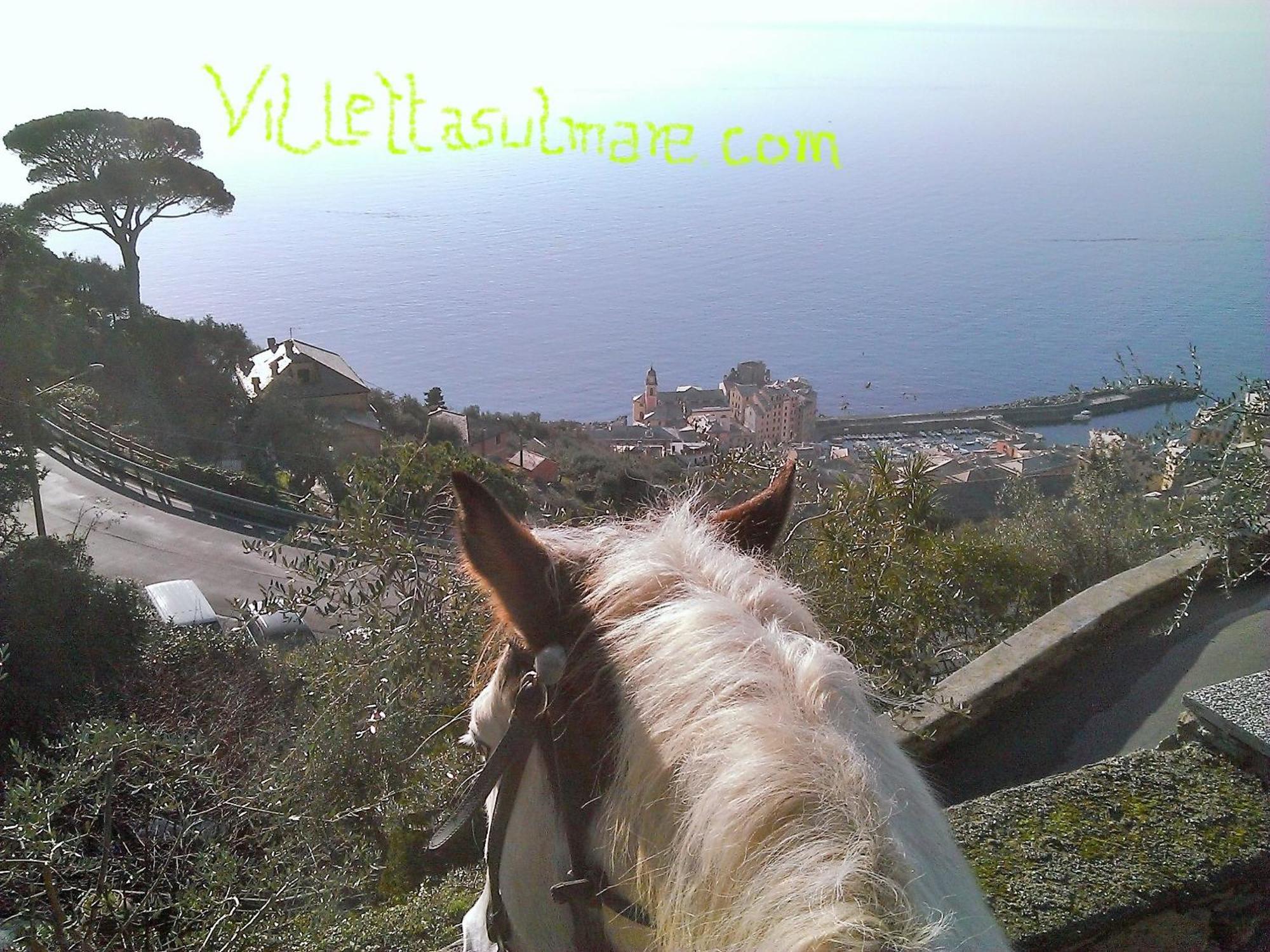 Villetta Sul Mare Camogli Zewnętrze zdjęcie
