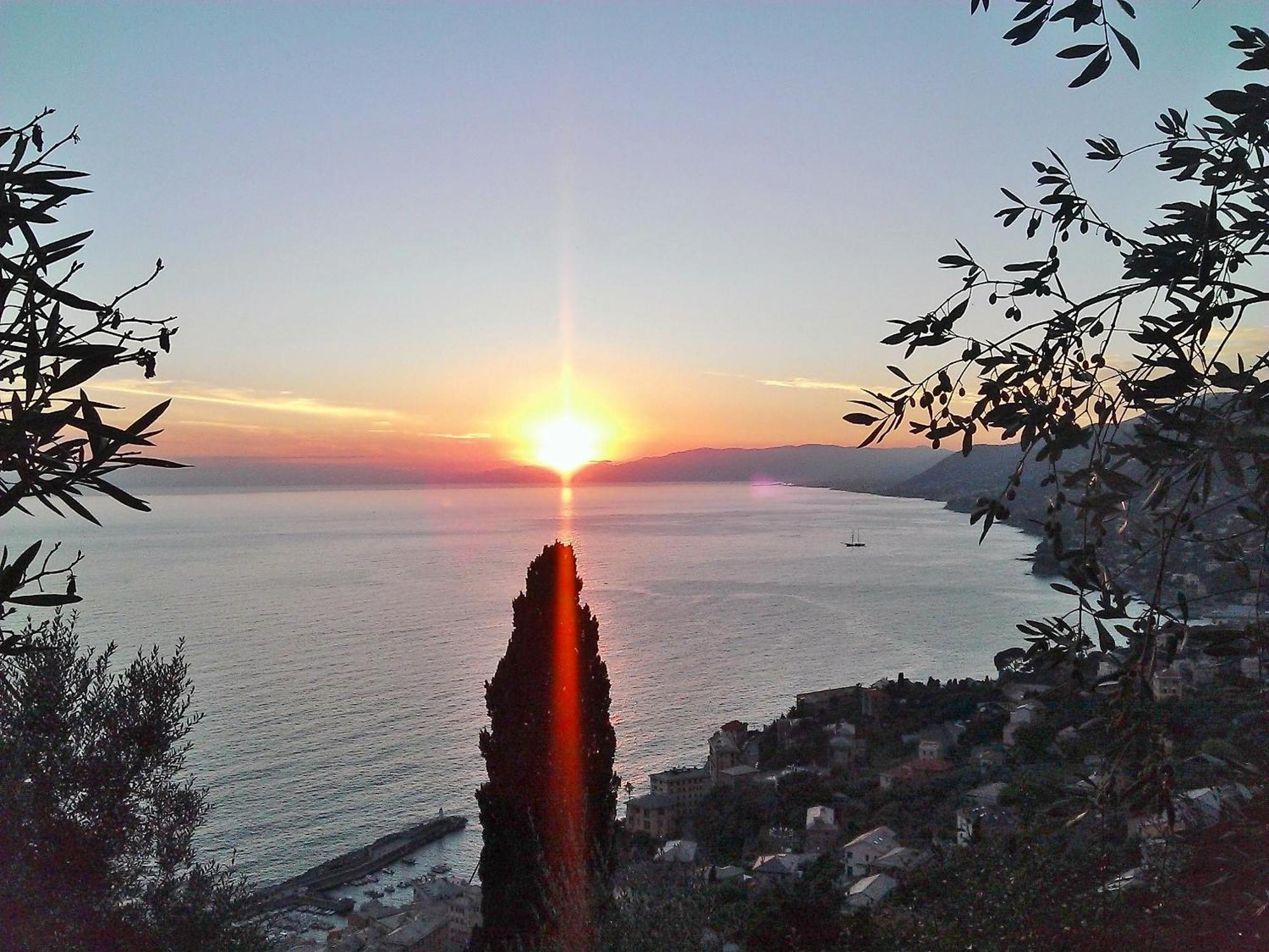 Villetta Sul Mare Camogli Zewnętrze zdjęcie